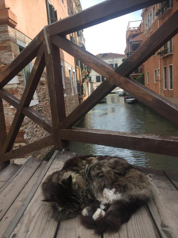 Tintoretto 4, 3 Grandi Camere Da Letto, 2 Bagni เวนิส ภายนอก รูปภาพ